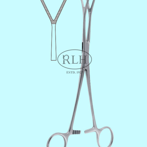 Duval Lung Forceps, surgical stainless steel