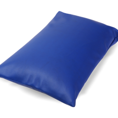 Uphealthy Rexine Pillow