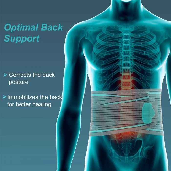 Tynor Lumbo Sacral Belt (A-05)